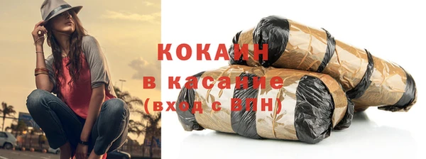 индика Кукмор