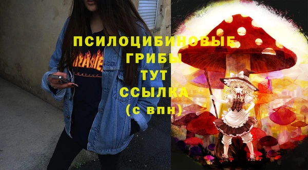 стаф Кулебаки