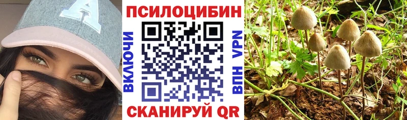 Купить закладки  Рассказово  Галлюциногенные грибы GOLDEN TEACHER 