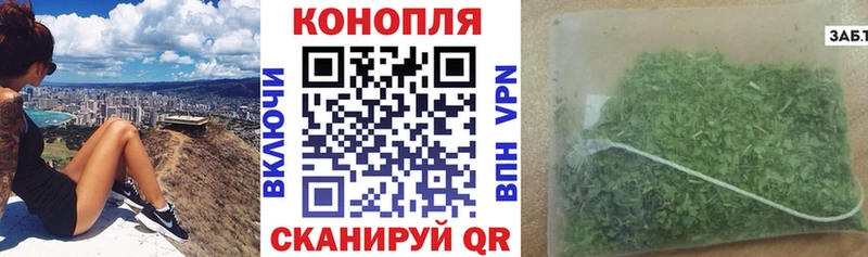 Купить  Рассказово  Бошки Шишки план 